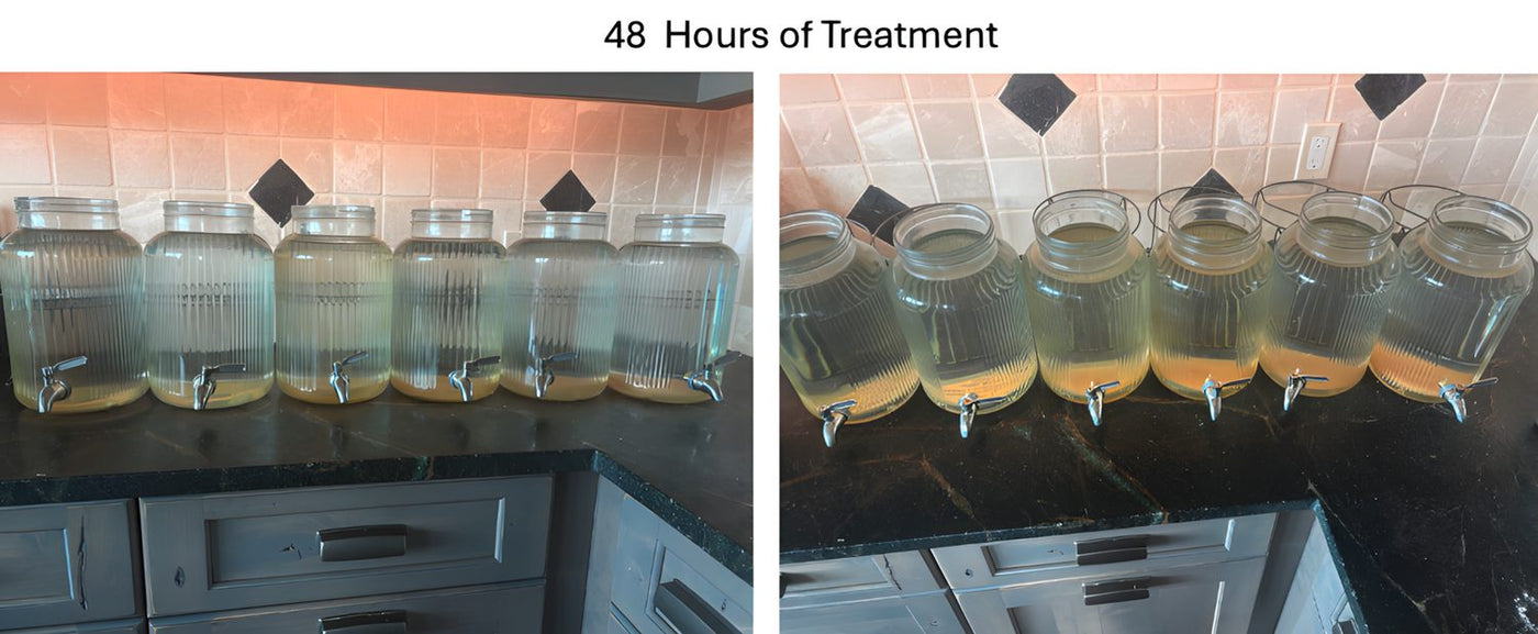 The same six jars at 48 hours, showing maximum sediment