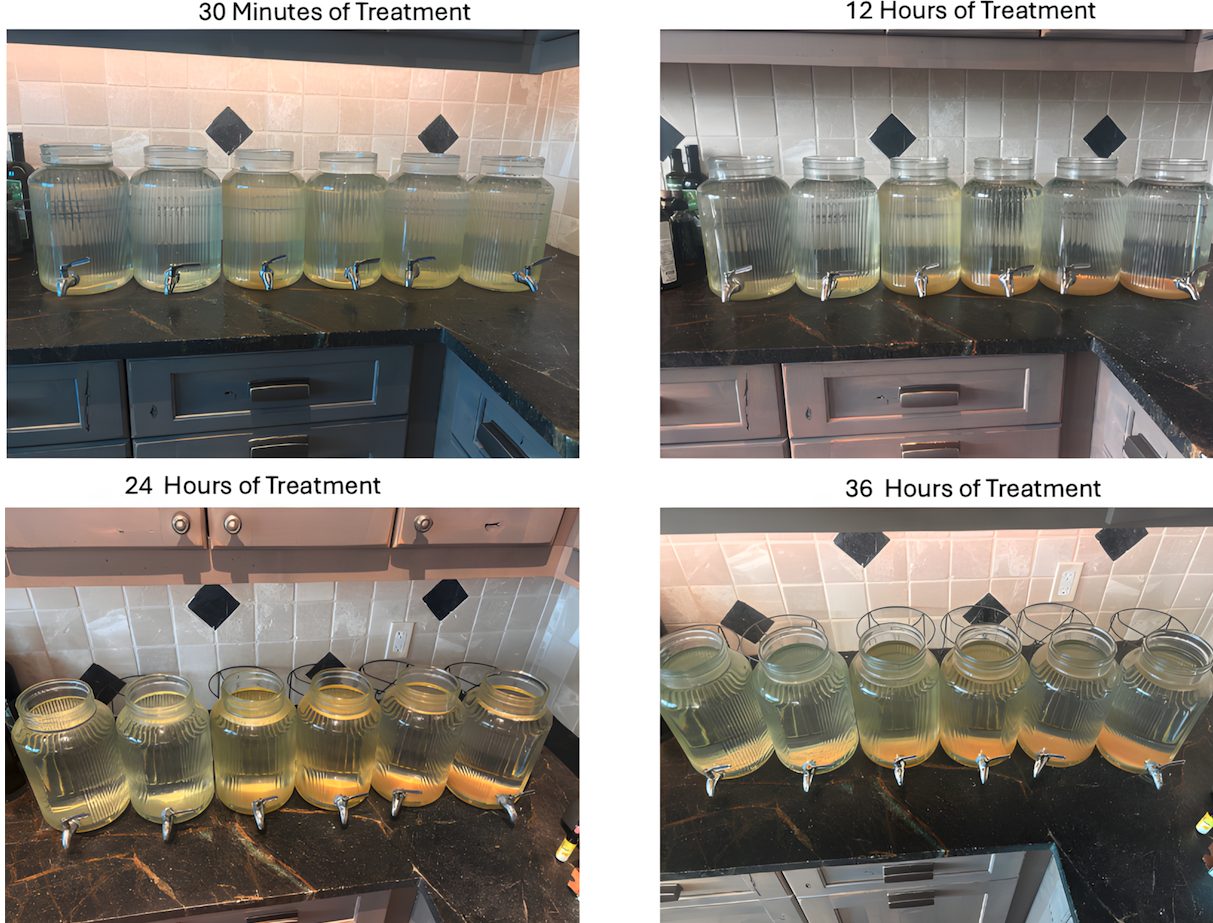 Six jars dosed with increasing Aurmina, photographed at 30 minutes, 12, 24, and 36 hours, showing sediment building