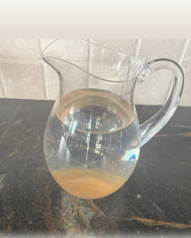 The same pitcher at 48 hours, sediment settled on the bottom