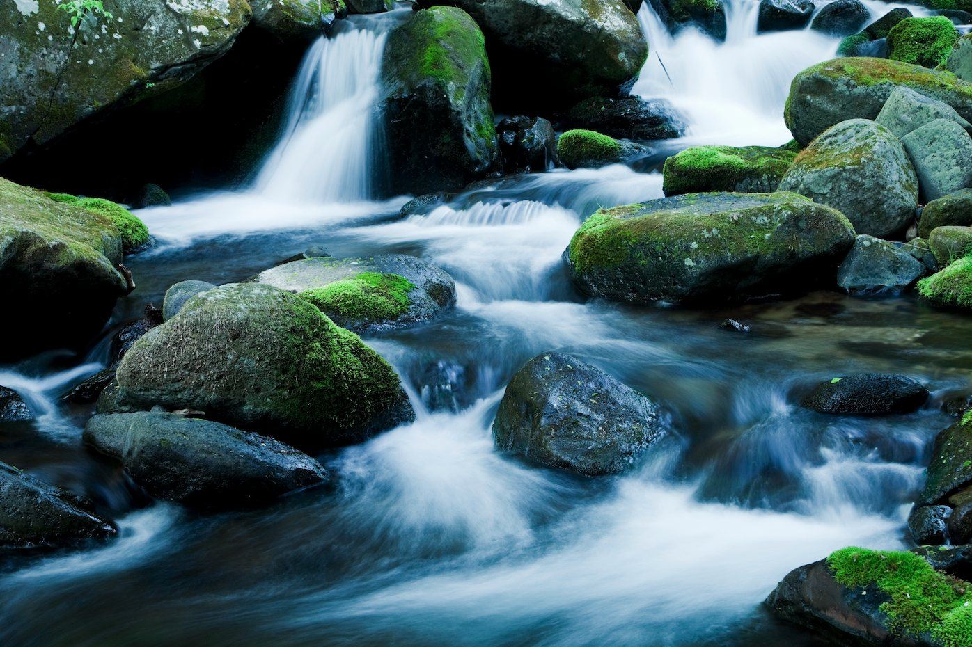 Clear water sliding over smooth, moss-covered river stones