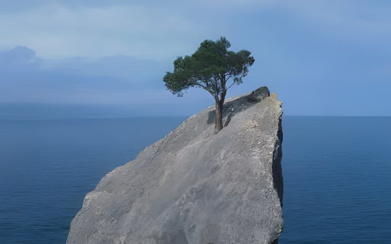 A single tree growing from a crack in a bare rock outcrop above the sea.